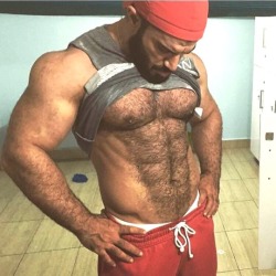 furonmuscle:   So many hot handsome hunky hairy men in the world