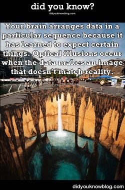 did-you-kno:  7 Brain-Melting Optical Illusions {VIDEO}  Optical