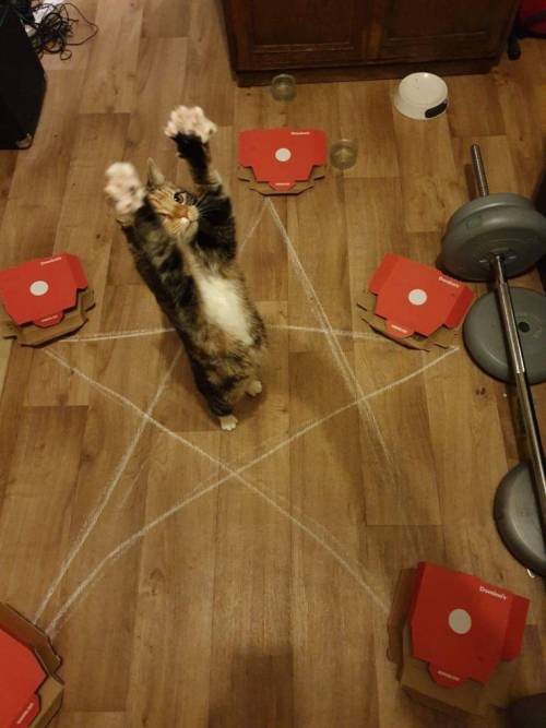 oisinslament:  Not sure if it’s summoning Demons or about to