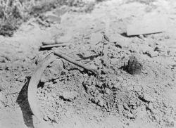 historicaltimes:  Grave of a Belgian soldier somewhere on the