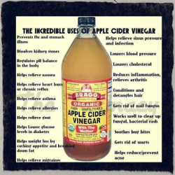 theglobalelite:10 Amazing Health Benefits of Apple Cider Vinegar