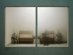 likeafieldmouse:  Chen Wei - A Foggy Afternoon (2011) 