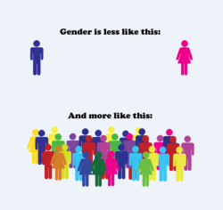 lgbt-bi:  Gender is less straight. It’s more lesbian, gay,