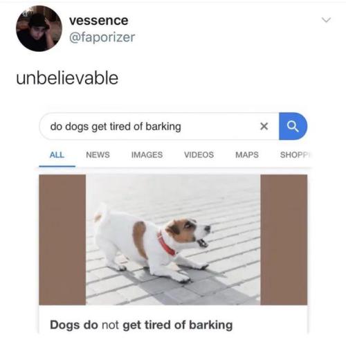 doggo source