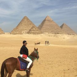 check-out-the-giza-pyramids:  https://www.instagram.com/p/BCbS1UpPNSy/