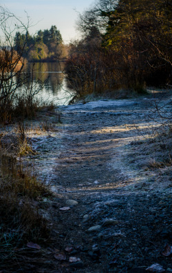 darkcoastphotography:  'Stål Strøk Jordens'Vancouver Island,