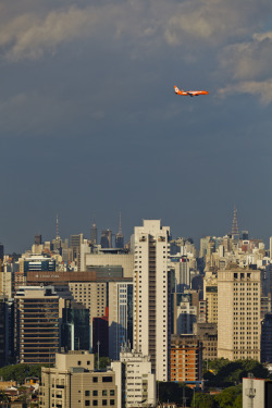 archatlas:  São Paulo Cityscape Matt Mawson Megalopolises can