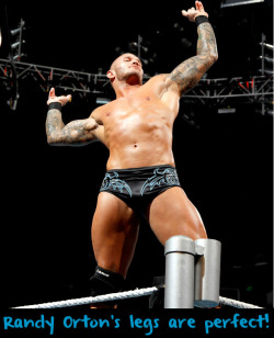 ljm1945:  wrestlingssexconfessions:  Randy Orton’s legs are