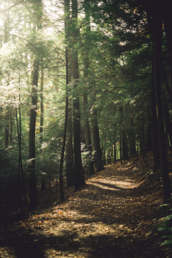 ordinair:  vintage/nature blog   now i wanna go for a hike