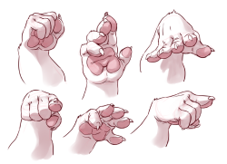 catsudon:  Some paw studies I did yesterday as a warm-up. Referenced