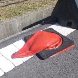 You think Viagra can fix this? #lol #funny #melting #theheatdidit