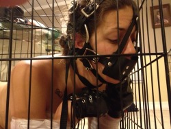 masterandpup-pet: some photos from pet play time. she really