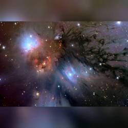 NGC 2170: Still Life with Reflecting Dust #nasa #apod #ngc2170