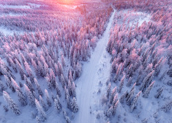 tiinatormanenphotography: One reason why I love northern winter