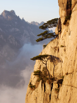 0mnis-e:  Huangshan (por christophschubert) 