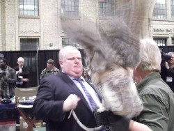 tibets:  Here’s the crack smoke canada mayor with a huge owl