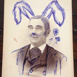 “History Hares” - Drawings On Original Vintage Photographs