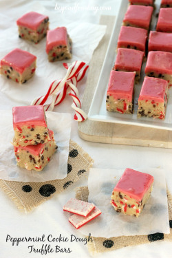 food–archives:  Peppermint Cookie Dough Truffle Bars. 