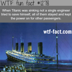 wtf-fun-facts:  Titanic facts When Titanic was sinking not a