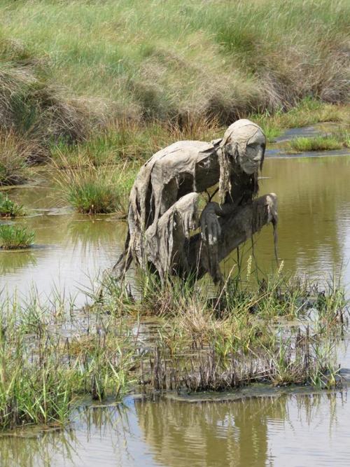 thefabulousweirdtrotters:   Homo Algus, Marais de Séné, Bretagne, France  Land art by Sophie Prestigiacomo   