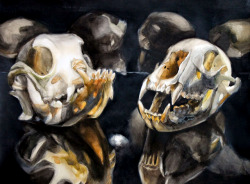 obsessedwithskulls:  Amazing watercolor painting by Martha Wirkijowski.http://dragonfly-bread.tumblr.com/#skull