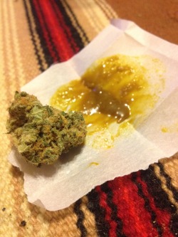 collinski-blanchito:  Agent Orange bud and oil to go with it.