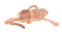 zooque:  i was watching videos of awkward naked baby animals