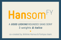 type-lover:  HANSOM FYby Jérémie Hornus & Fontyou Team