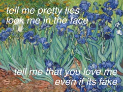silverhairdontcare:  Irises by Vincent van Gogh (1889) // idfc