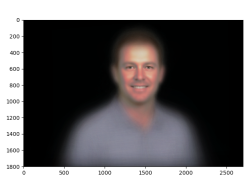 egax: datarep: Combined faces of top 500 professional golfers