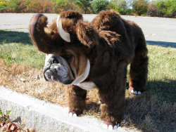 awwww-cute:  Bully Mammoth (Source: http://ift.tt/1M47HOh)