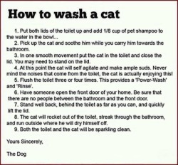 Fido’s helpful spring cleaning tips