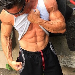 Adonis Files