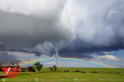 facts-i-just-made-up:  Astounding rare footage of a rainbow getting