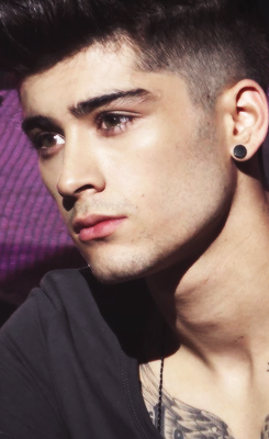 gay4zayn:  Zayn - 14.6 