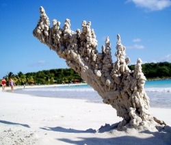 ricepattiesfromabove:  Sand when it’s struck by lightning 