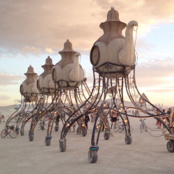 patrickschierer:  Burning Man 2014.