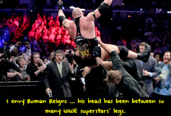 wwewrestlingsexconfessions:  I envy Roman Reigns … his head