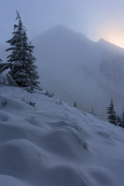 ominousraincloud:  First Light | By Joshua Johnston