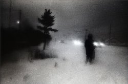 photo by By Daido Moriyama, Hokkaido, Japan 1978Found on Twitter