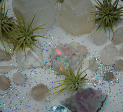 amazingawakening:  Some therapuetic crystal gardening. 