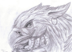  A beautiful example of the mystical Gryphon… Look at