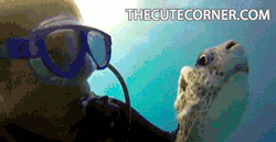 puppypu:  http://puppypu.tumblr.com/ 