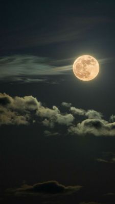 brookbooh:  Full moon