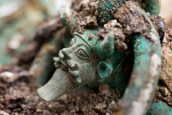 irisharchaeology:  Exciting news from France where archaeologists