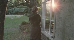  The Tree of LifeTerrence Malick, 2011. 