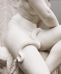 nonalimmen: Detail photo from one of my favorite marble statues;