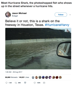 buzzfeed: This shark is a dedicated storm-chaser.