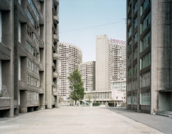 afterglow-moodboard:  Thomas Struth - Pyongyang (2007)http://www.thomasstruth32.com