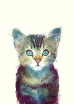 kittiesntitties.tumblr.com/post/53560580604/